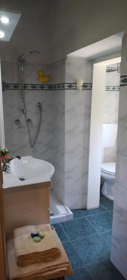 La Casa Del Nonno - Tiny House Villa Reggello Luaran gambar